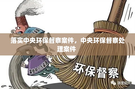 落實(shí)中央環(huán)保督察案件，中央環(huán)保督察處理案件 