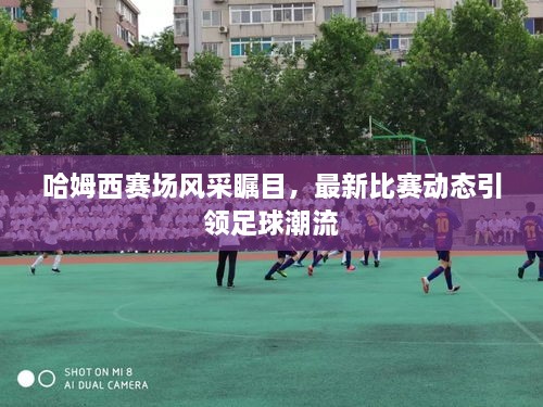 哈姆西賽場(chǎng)風(fēng)采矚目，最新比賽動(dòng)態(tài)引領(lǐng)足球潮流