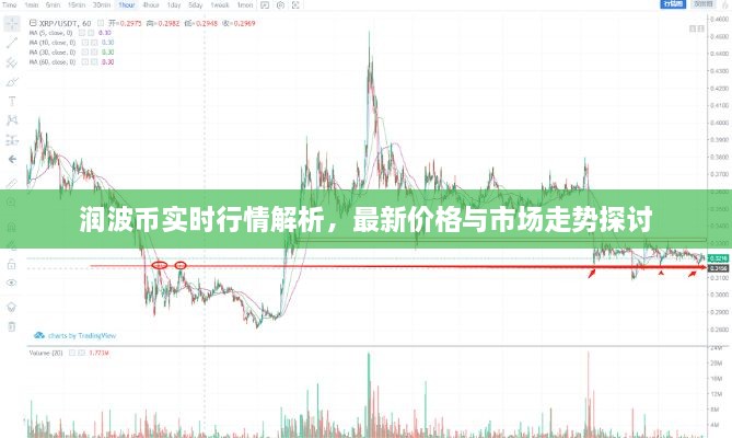 潤波幣實(shí)時(shí)行情解析，最新價(jià)格與市場走勢探討