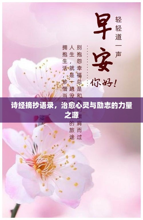 詩經(jīng)摘抄語錄，治愈心靈與勵(lì)志的力量之源