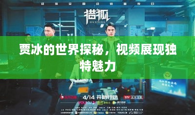 賈冰的世界探秘，視頻展現(xiàn)獨特魅力