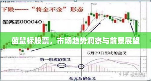 藍鼠標股票，市場趨勢洞察與前景展望