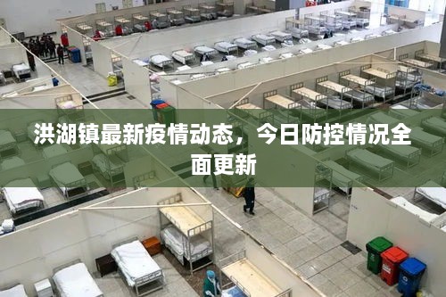 洪湖鎮(zhèn)最新疫情動(dòng)態(tài)，今日防控情況全面更新