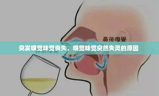 突發(fā)嗅覺味覺喪失，嗅覺味覺突然失靈的原因 