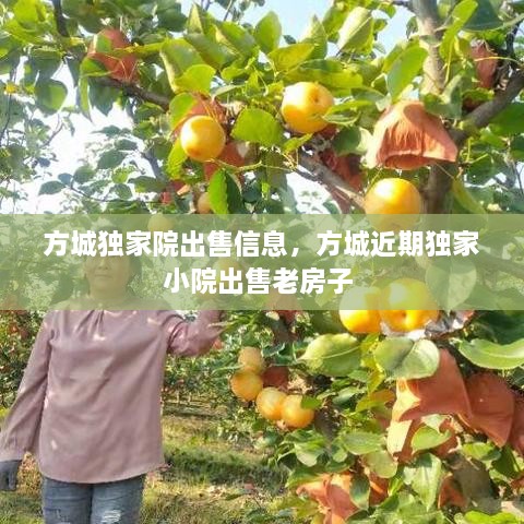 方城獨(dú)家院出售信息，方城近期獨(dú)家小院出售老房子 