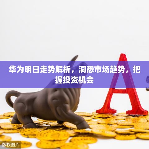 華為明日走勢(shì)解析，洞悉市場(chǎng)趨勢(shì)，把握投資機(jī)會(huì)