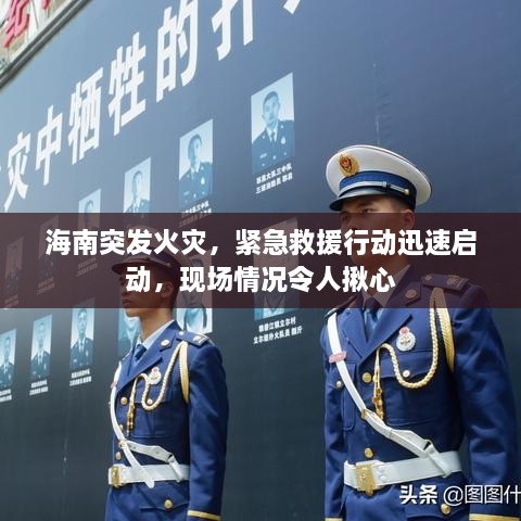海南突發(fā)火災，緊急救援行動迅速啟動，現(xiàn)場情況令人揪心