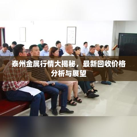 泰州金屬行情大揭秘，最新回收價格分析與展望