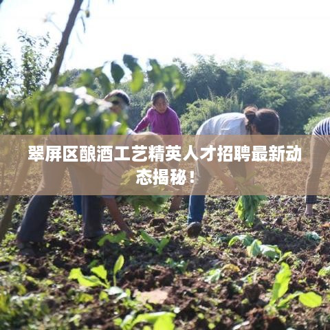 翠屏區(qū)釀酒工藝精英人才招聘最新動態(tài)揭秘！