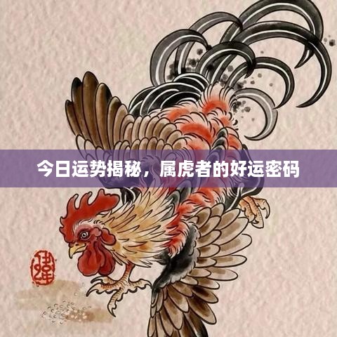 今日運勢揭秘，屬虎者的好運密碼