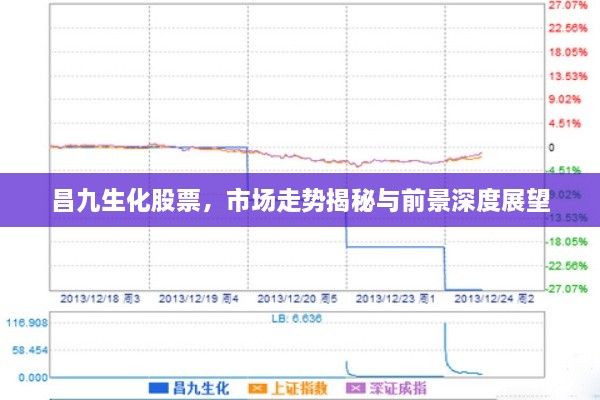 昌九生化股票，市場(chǎng)走勢(shì)揭秘與前景深度展望