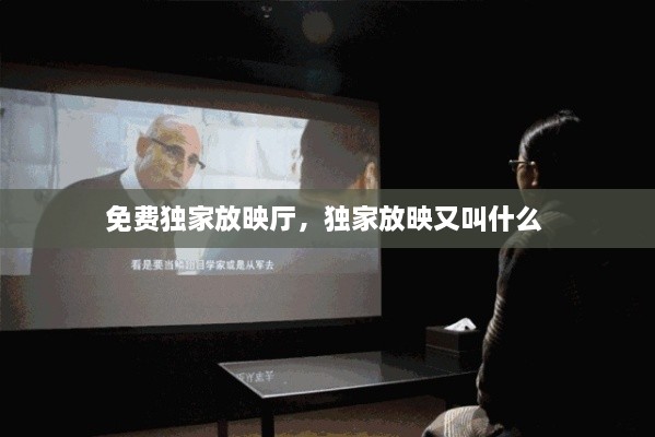 免費(fèi)獨(dú)家放映廳，獨(dú)家放映又叫什么 