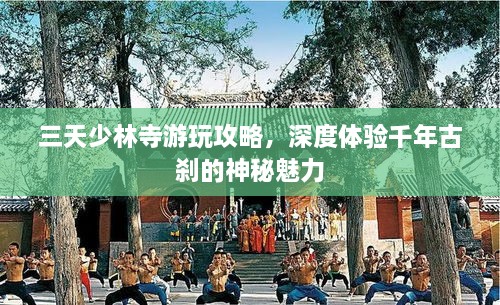 三天少林寺游玩攻略，深度體驗千年古剎的神秘魅力