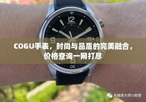 COGU手表，時(shí)尚與品質(zhì)的完美融合，價(jià)格查詢一網(wǎng)打盡