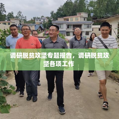 調(diào)研脫貧攻堅專題報告，調(diào)研脫貧攻堅各項工作 