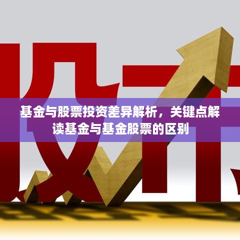 基金與股票投資差異解析，關(guān)鍵點(diǎn)解讀基金與基金股票的區(qū)別