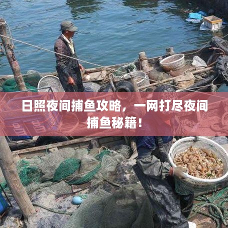 日照夜間捕魚攻略，一網(wǎng)打盡夜間捕魚秘籍！