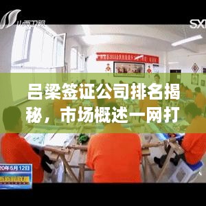 呂梁簽證公司排名揭秘，市場概述一網(wǎng)打盡