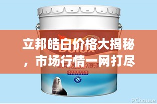 立邦皓白價格大揭秘，市場行情一網(wǎng)打盡