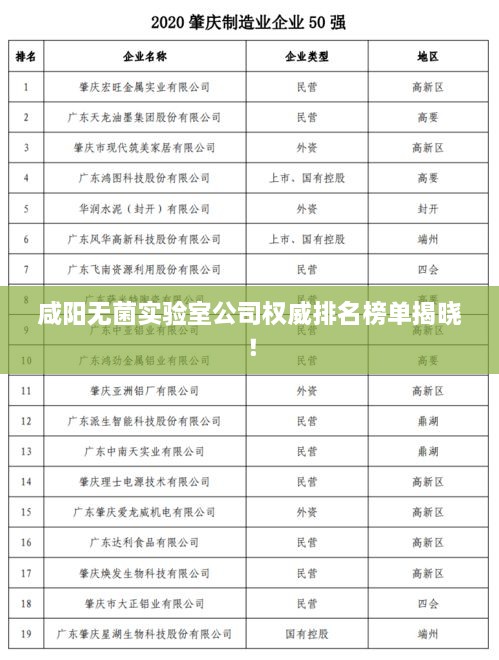 咸陽無菌實驗室公司權(quán)威排名榜單揭曉！