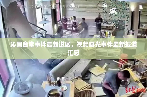 沁園食堂事件最新進(jìn)展，視頻曝光事件最新報道匯總