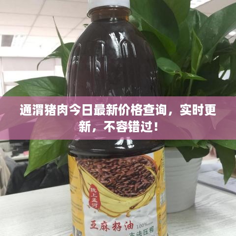 通渭豬肉今日最新價(jià)格查詢，實(shí)時(shí)更新，不容錯(cuò)過！