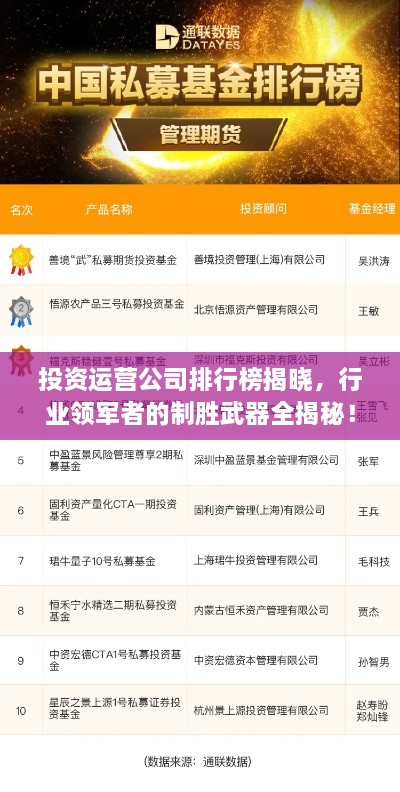 投資運(yùn)營(yíng)公司排行榜揭曉，行業(yè)領(lǐng)軍者的制勝武器全揭秘！