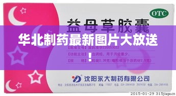 華北制藥最新圖片大放送！
