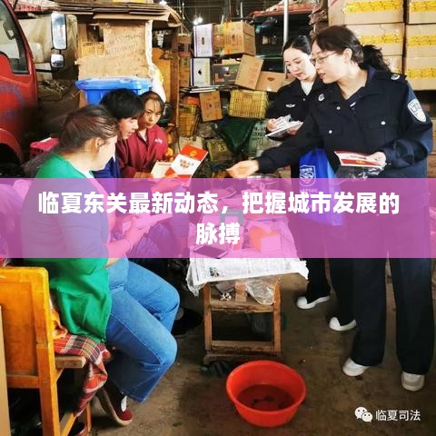 臨夏東關(guān)最新動態(tài)，把握城市發(fā)展的脈搏