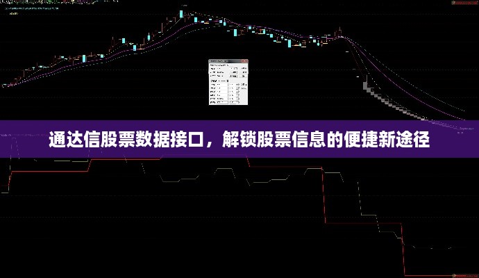 通達(dá)信股票數(shù)據(jù)接口，解鎖股票信息的便捷新途徑