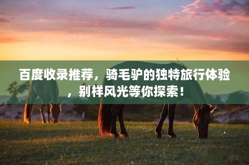 百度收錄推薦，騎毛驢的獨(dú)特旅行體驗(yàn)，別樣風(fēng)光等你探索！