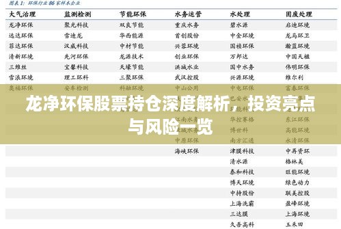 龍凈環(huán)保股票持倉(cāng)深度解析，投資亮點(diǎn)與風(fēng)險(xiǎn)一覽