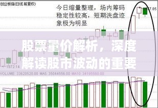 股票量價解析，深度解讀股市波動的重要指標(biāo)！