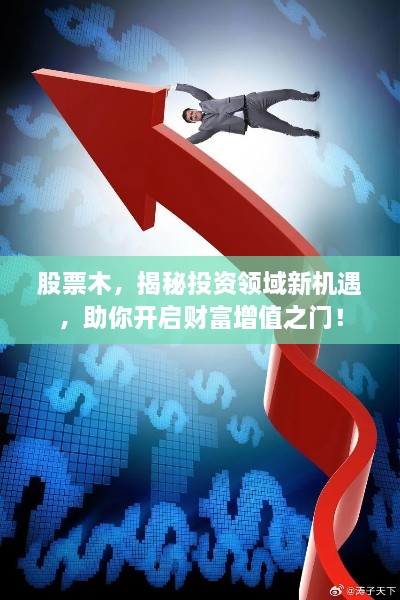 股票木，揭秘投資領(lǐng)域新機(jī)遇，助你開啟財(cái)富增值之門！