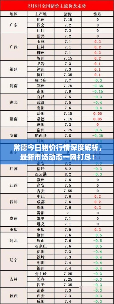 常德今日豬價行情深度解析，最新市場動態(tài)一網打盡！