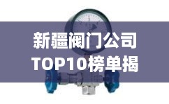 新疆閥門公司TOP10榜單揭曉，行業(yè)領(lǐng)軍者一覽無余