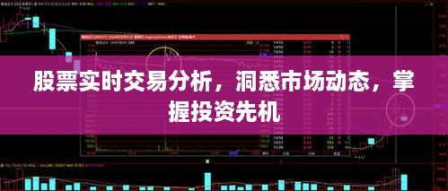 股票實(shí)時(shí)交易分析，洞悉市場(chǎng)動(dòng)態(tài)，掌握投資先機(jī)