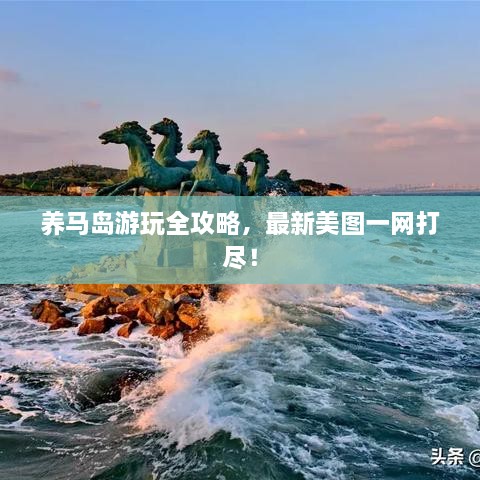 養(yǎng)馬島游玩全攻略，最新美圖一網(wǎng)打盡！