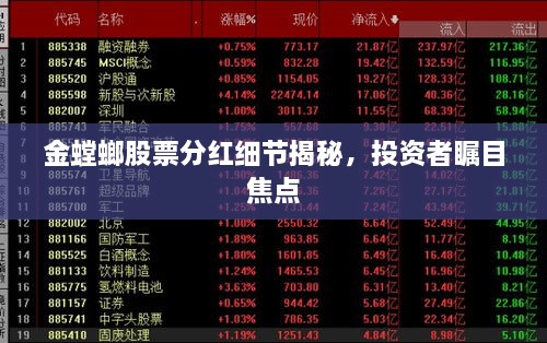 金螳螂股票分紅細(xì)節(jié)揭秘，投資者矚目焦點(diǎn)