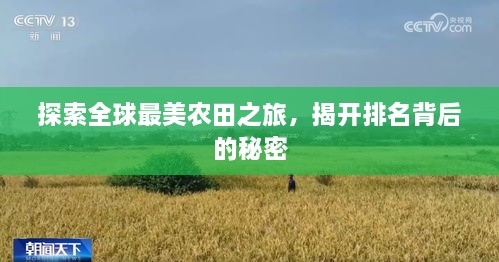 探索全球最美農(nóng)田之旅，揭開排名背后的秘密