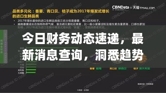 今日財務(wù)動態(tài)速遞，最新消息查詢，洞悉趨勢，掌握財經(jīng)動態(tài)