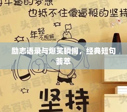 勵志語錄與爆笑瞬間，經典短句薈萃