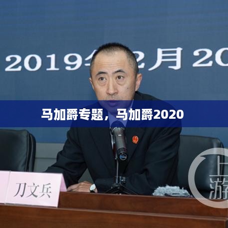 馬加爵專(zhuān)題，馬加爵2020 