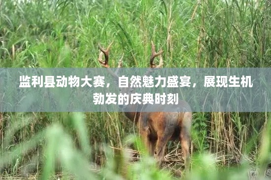 監(jiān)利縣動物大賽，自然魅力盛宴，展現(xiàn)生機勃發(fā)的慶典時刻