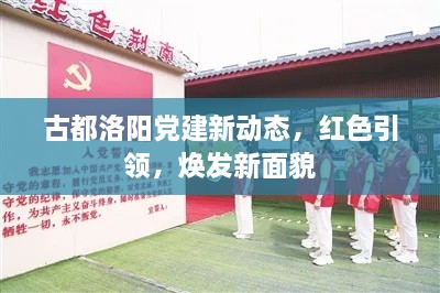 古都洛陽(yáng)黨建新動(dòng)態(tài)，紅色引領(lǐng)，煥發(fā)新面貌