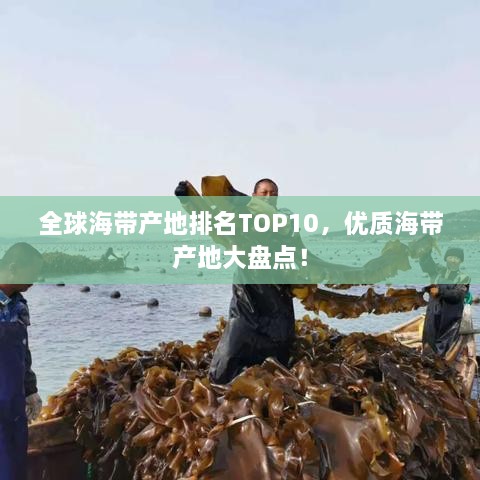 全球海帶產(chǎn)地排名TOP10，優(yōu)質(zhì)海帶產(chǎn)地大盤(pán)點(diǎn)！