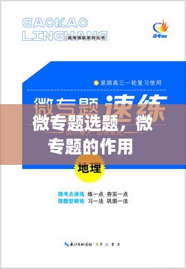 微專題選題，微專題的作用 