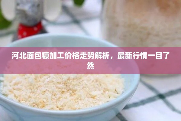 河北面包糠加工價格走勢解析，最新行情一目了然