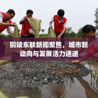 銅陵東聯(lián)新聞聚焦，城市新動向與發(fā)展活力速遞