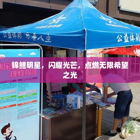 錦鯉明星，閃耀光芒，點燃無限希望之光